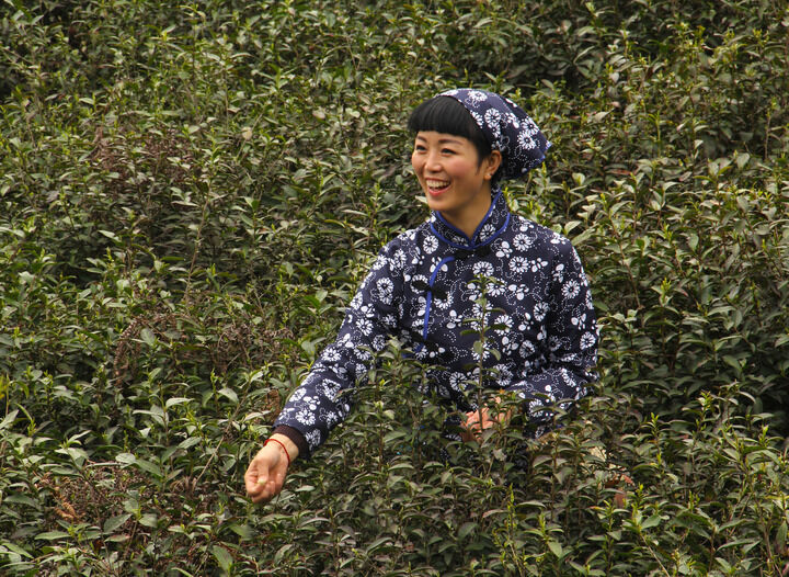 伊人，黄色直播 最新